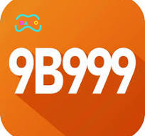 9b999